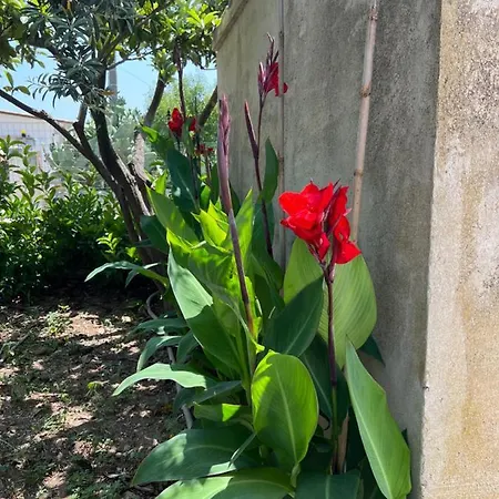 Casa Di Mirto Bed & Breakfast